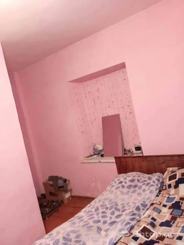 Renovated Mansion with Shop Potential 1