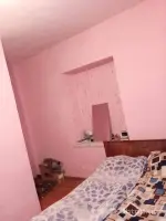 Renovated Mansion with Shop Potential image thumbnail 1