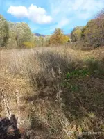 Նիսսան Ռոգ՝ Ձեր Հուսալի Ընկեր image thumbnail 2