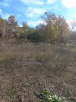 Նիսսան Ռոգ՝ Ձեր Հուսալի Ընկեր image thumbnail 4