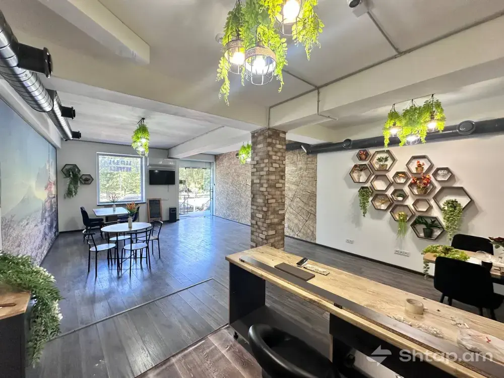 Property for Rent on Alek Manukyan Street 1