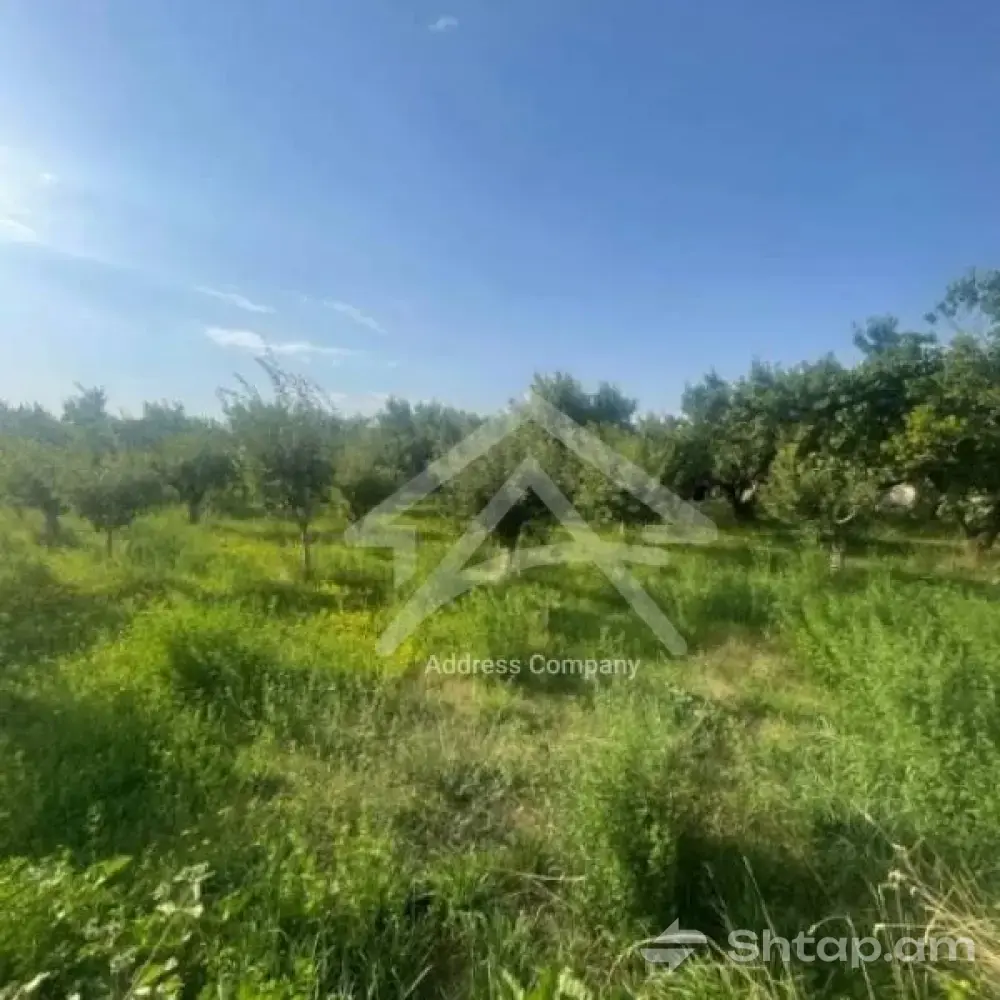 Land Plot for Sale in Proshyan 1