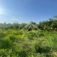Land Plot for Sale in Proshyan image thumbnail 1