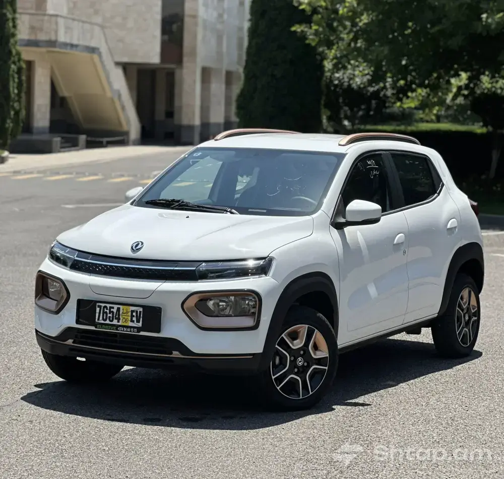 DongFeng Nano Box 2023-24 - Your Reliable Companion 1