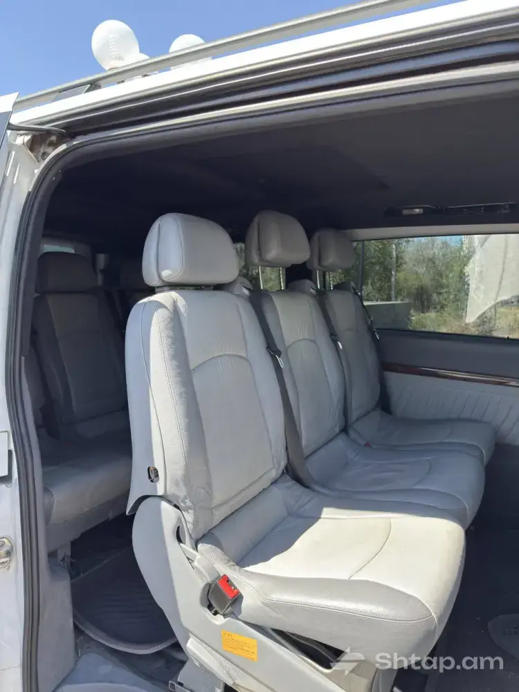 Perfect Mercedes-Benz Viano 2004 1