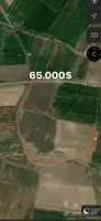 Վաճառվում է 3 հա հողամաս Արմավիրի մարզում image thumbnail 0