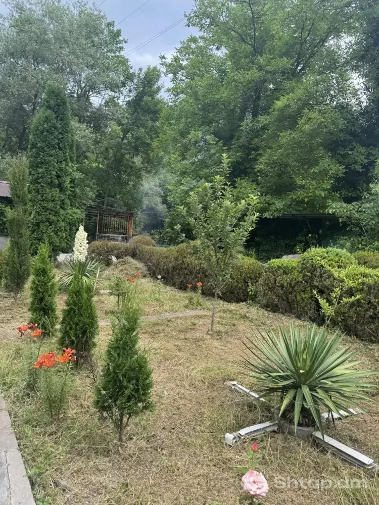 House Rental in Vahagnadzor 1