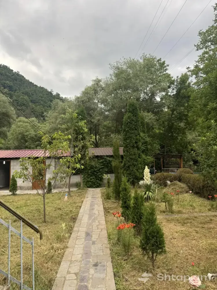 House Rental in Vahagnadzor 3