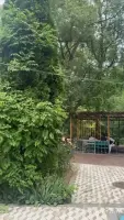 House Rental in Vahagnadzor image thumbnail 4