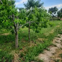 Plot of Land for Sale in Nor Artamet image thumbnail 1