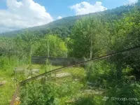 Rest in the Embrace of Nature image thumbnail 0