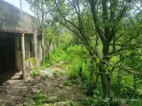 Rest in the Embrace of Nature image thumbnail 2