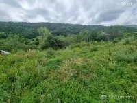 Rest in the Embrace of Nature image thumbnail 3
