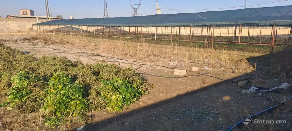 Greenhouses for Sale 4
