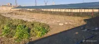 Greenhouses for Sale image thumbnail 4