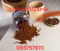 Buy Brazilian Coffee Directly image thumbnail 0