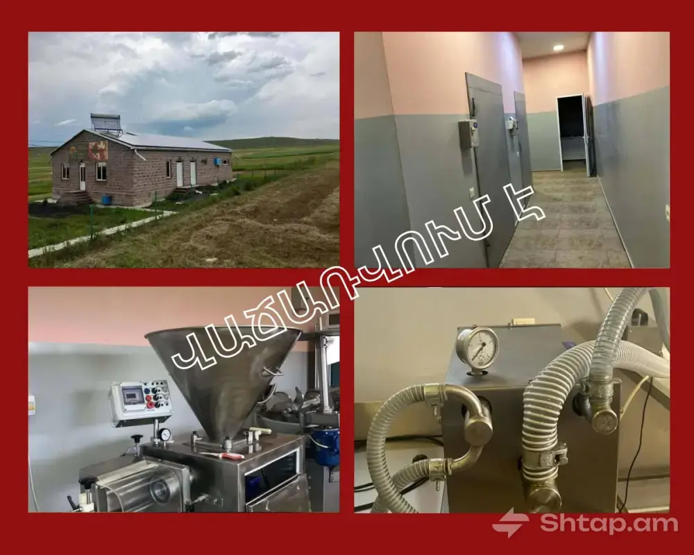 Մսամթերքի վերամշակման արտադրամաս՝ վաճառքի 3