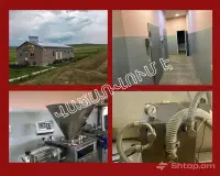 Գնել Կովեր և Հորթեր Շիրակի Մարզում image thumbnail 3