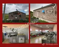 Գնել Կովեր և Հորթեր Շիրակի Մարզում image thumbnail 4