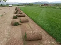 Professional Lawn and Irrigation System Installation image thumbnail 0