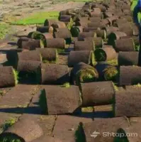 Professional Lawn and Irrigation System Installation image thumbnail 4
