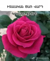 Trendy Solutions for Your Celebration image thumbnail 0