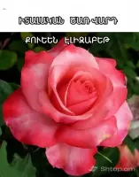 Trendy Solutions for Your Celebration image thumbnail 2