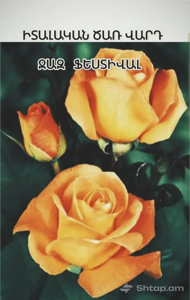 High-Quality Roses from Europe 4