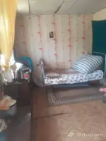 Lost Dog in Noragyugh image thumbnail 3