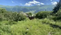 Գնել հողատարածք Գարգառ գյուղում՝ կոտեջների համար image thumbnail 2