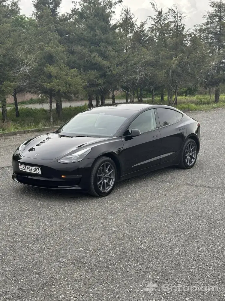 Perfect Tesla Model 3 2023 2