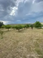 Продажа земельного участка в Парпи image thumbnail 1
