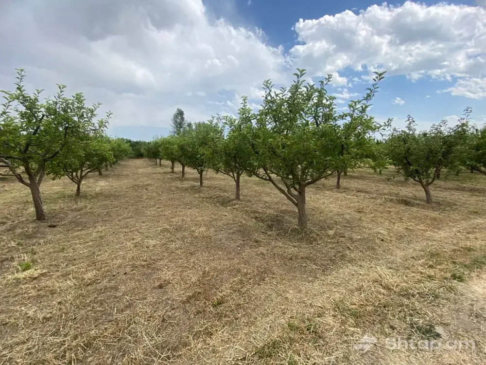 Продажа земельного участка в Парпи 2