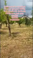 Продажа земельного участка в Парпи image thumbnail 3