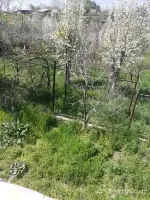 Վաճառվում է 2 հարկանի տուն Խարբերդի ամառանոցներում image thumbnail 1
