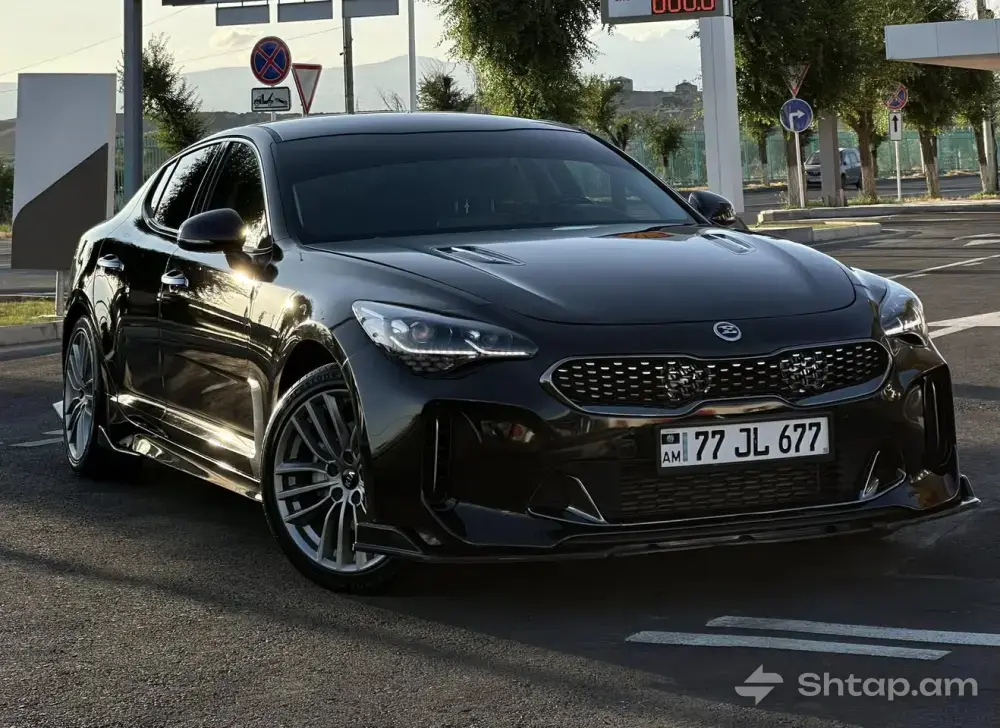 Perfect 2018 Kia Stinger 0