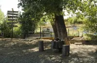 Գնել Կովեր և Հորթեր Շիրակի Մարզում image thumbnail 1