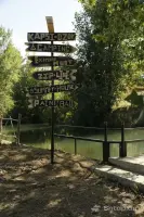 Գնել Կովեր և Հորթեր Շիրակի Մարզում image thumbnail 3