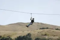 Գնել Կովեր և Հորթեր Շիրակի Մարզում image thumbnail 4