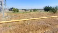 Վաճառվում է հողատարածք Մասիս համայնքում image thumbnail 0