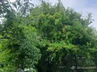House with Garden and Greenhouse in Mets Ayrum image thumbnail 0