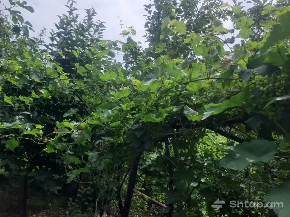 House with Garden and Greenhouse in Mets Ayrum 1