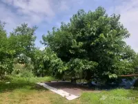 House with Garden and Greenhouse in Mets Ayrum image thumbnail 3