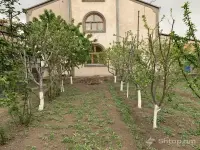 Luxurious House and Business for Sale image thumbnail 4