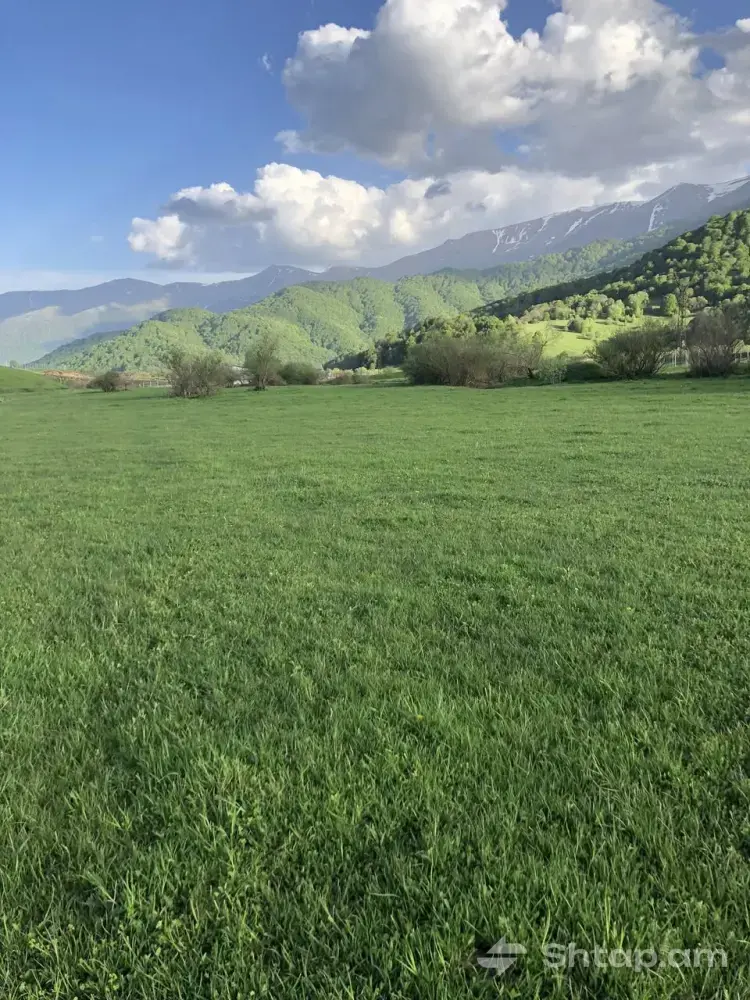 Commercial Land for Sale 2