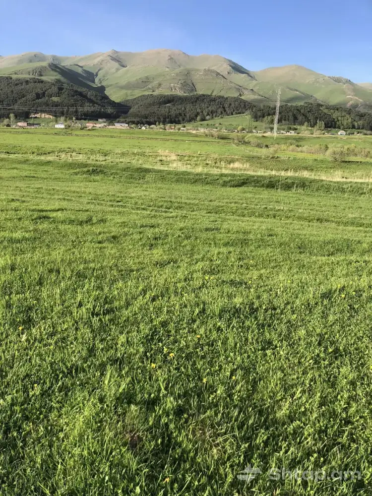 Commercial Land for Sale 4