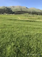 Commercial Land for Sale image thumbnail 4