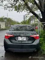 Թոփ Առաջարկ՝ Հատուկ Գինով image thumbnail 2