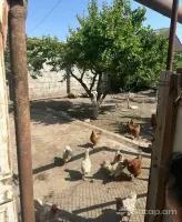 Two-story House in Armavir image thumbnail 2
