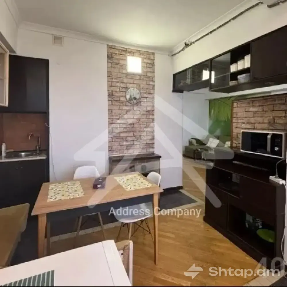 Apartment Rental in the Center of Yerevan 2